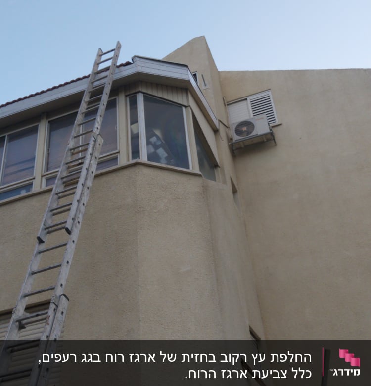 סולם נשען על גג עם חלונות וזווית גג משופעת